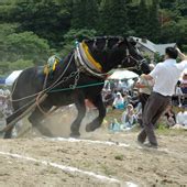 東北馬家|馬と人 » 岩手県立博物館 岩手の馬の文化民俗・歴史を体感